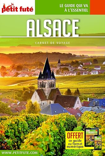 Download Guide Alsace 2018 Carnet Petit Futé PDF