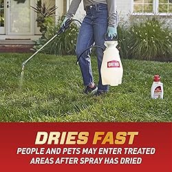 Ortho Home Defense Insect Killer for Indoor and