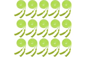 Rcanedny 15 Pieces Graduation Honor Cord Braided Honor Cords with Tassels for Graduation Students (Light Green)