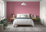 Dulux Simply Refresh Raspberry Diva Matt Emulsion Paint 1.25 L view 6