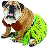 Rasta Imposta Funny Zelda Wisdom Hula Dog Pet Costume Halloween Bra Skirt Hawaii Hawaiian New