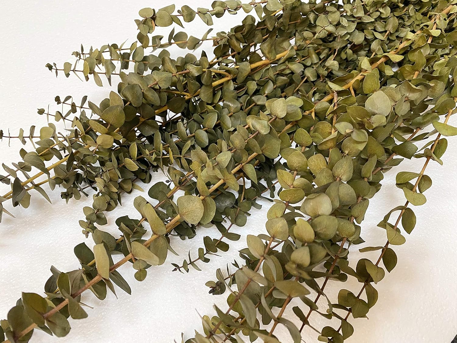 CalCastle Craft Natural Dried Preserved Eucalyptus Branches