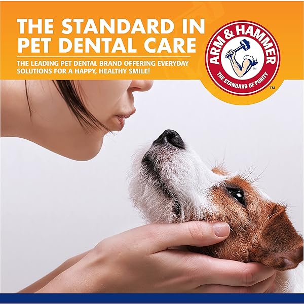 ARM & HAMMER FOR PETS DOG DENTAL CARE FRESH BREATH KIT | INCLUDES ARM & HAMMER BAKING SODA DOG TOOTHPASTE AND DOG TOOTHBRUSH | DOG PLAQUE REMOVAL KIT, MINT