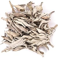 Juniper Ridge | White Sage Loose Leaves | Salvia Apiana Clusters | Dry Burning White Sage | 1 Lb Bag