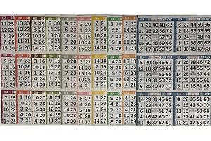 The Ticket Gurus Bingo Paper Game Cards - 6 Cards - 10 Sheets - 100 Books