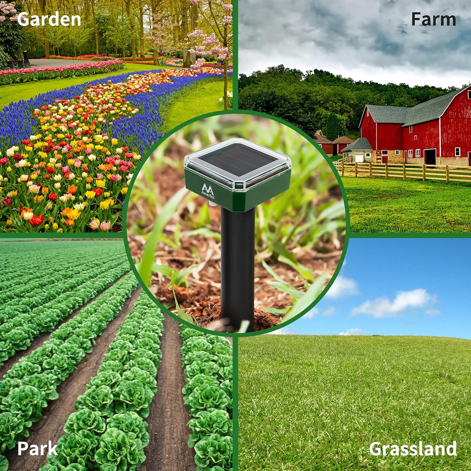 AMERFIST Mole Repellent Solar Powered – Solar Animal Repeller Stakes for Gopher, Moles, Groundhog – IP44 Waterproof Solar Mole Repellent Stakes for Farm, Garden, Lawn (4 Pack) : Garden & Outdoor
