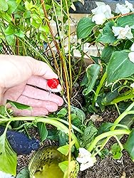 Rain Bird SW20-30PS Drip Irrigation Spot Watering