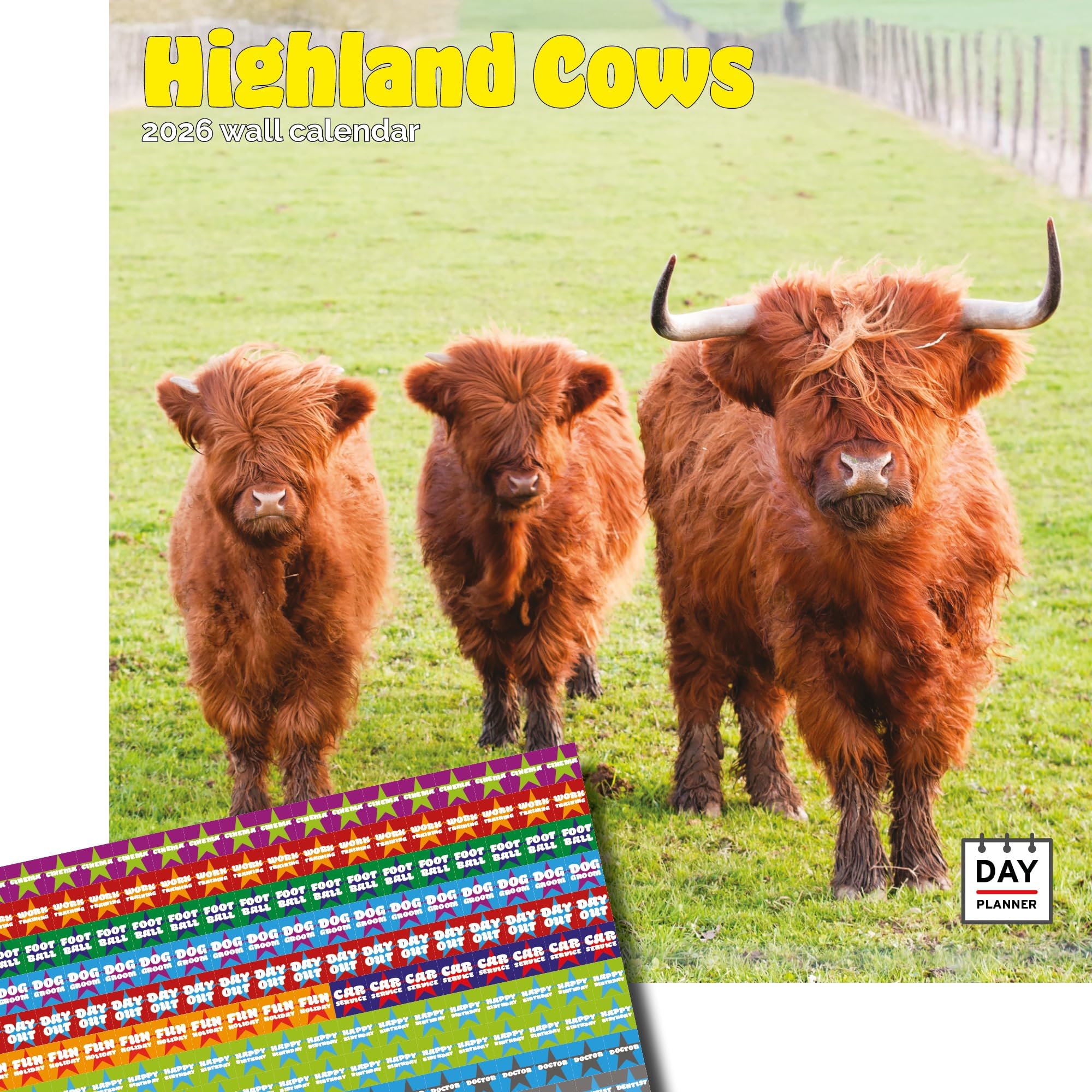 Dayplanner Publishing Highland Cows Calendar 2026, Large Square Wall Calendar With Organisational Stickers, 16 Month, Highland Cows Gift Animal Calendar