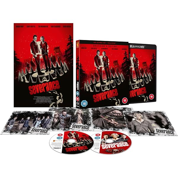 Amazon.com: Seven (Se7en): Ultimate Collector's Edition : Brad