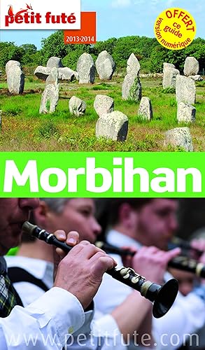 Download Petit Futé Morbihan PDF