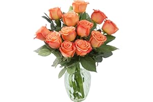 KaBloom Flowers - Bouquet of 12 Fresh Orange Roses with Vase - Gift for Birthday, Anniversary, Get Well, Thank You, Valentine, Mother’s Day Fresh Flowers