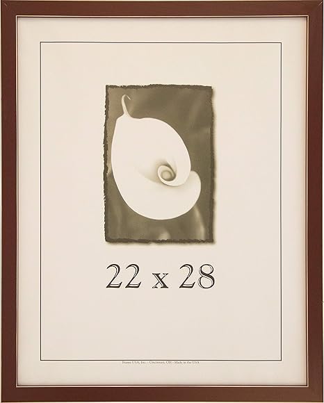 Frame USA Clean Cut Series 22x28 Wood 