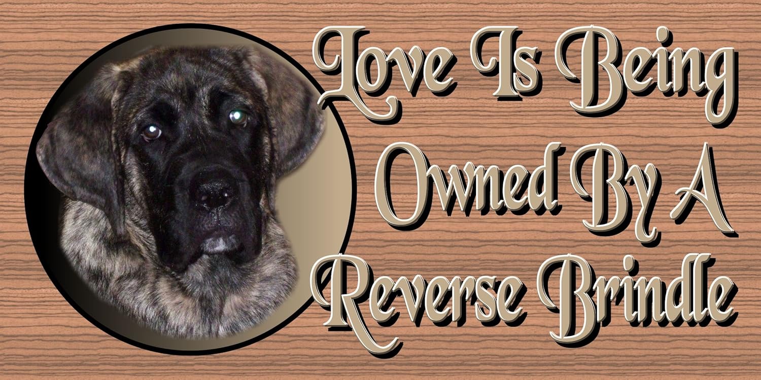 reverse brindle dog