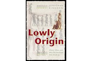 Lowly Origin: Where, When, and Why Our Ancestors First Stood Up