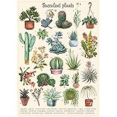 Vintage Succulent Puzzles for Adults 1000 Pieces, House Plants Puzzle Nature Featuring 23 Succulent Plants, Cactus Jigsaw Puzzle Botanical