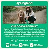 Springer Portable Dog Water Bottle 625ml Leak-Proof BPA-Free Indigo view 7