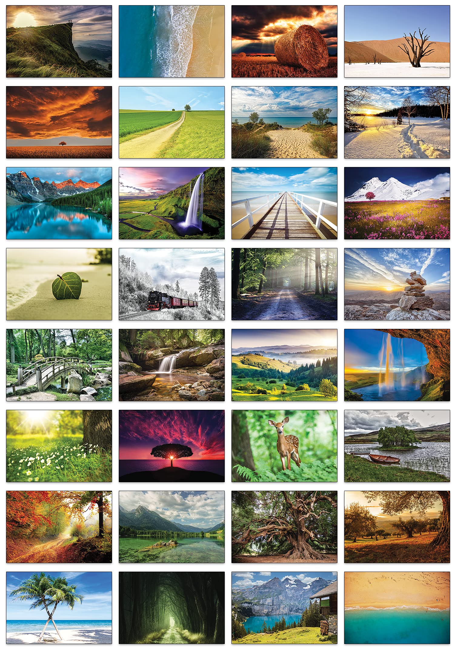 the lazy panda card company Nature Selection Postcards: 32 Different Postcards with different Natural Themes (Gorgeous Landscapes)