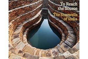 To Reach the Source: The Stepwells of India