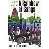 A Rainbow of Gangs: Street Cultures in the Mega-City