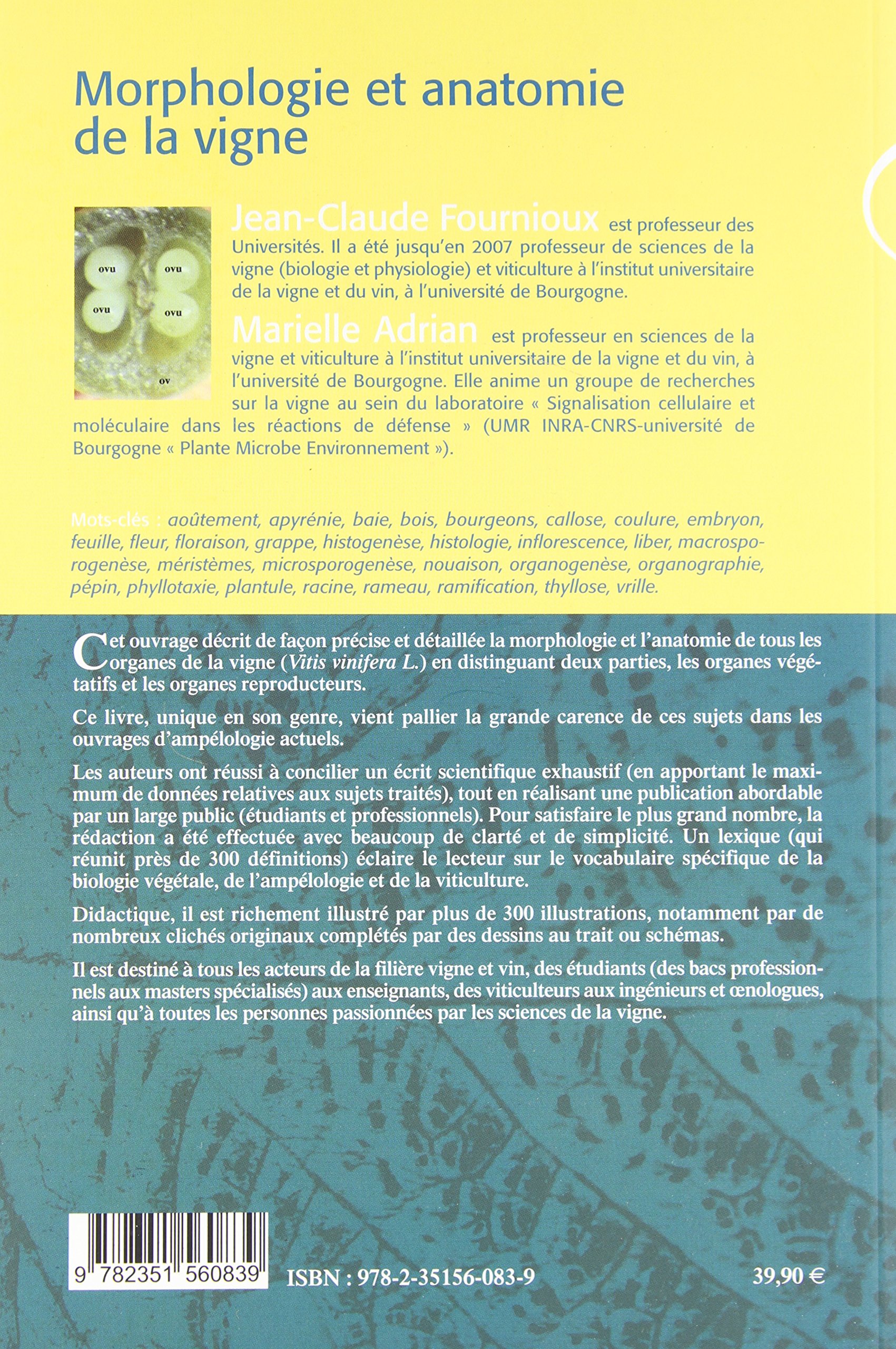 Amazon Fr Morphologie Et Anatomie De La Vigne Fournioux Jean Claude Adrian Marielle Livres