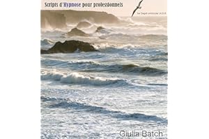 Scripts d’hypnose pour professionnels: 1er degré protocole I.A.S.R (HYPNOTHERAPIE PROFESSIONNELLE) (French Edition)