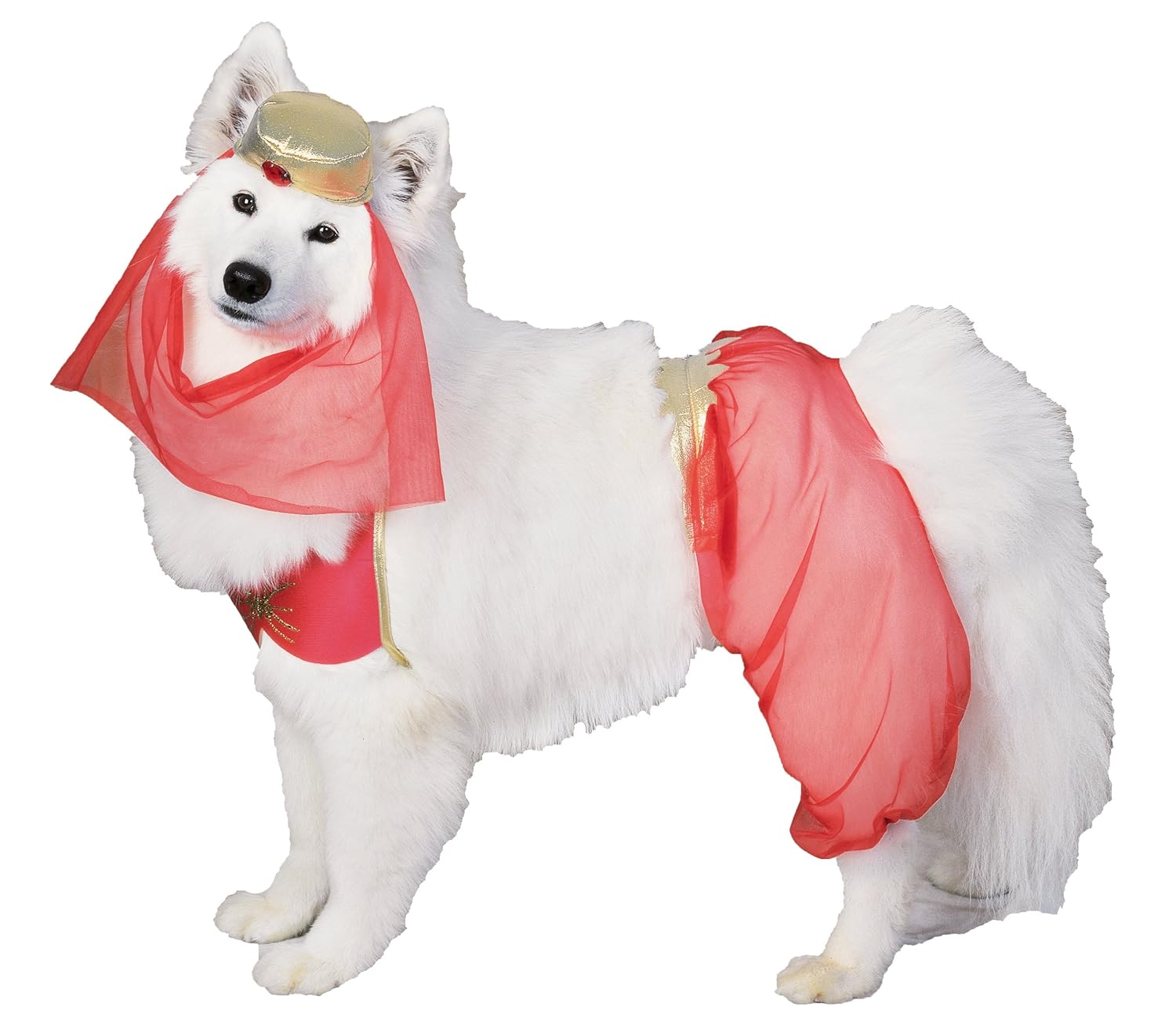 Which Is The Best Genie Dog Costume