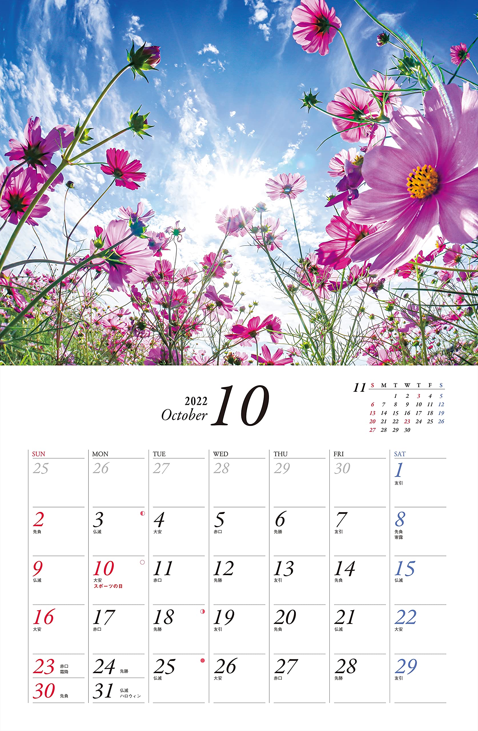 カレンダー22 心に残る癒やしの花風景 Beautiful And Wild Flower Garden 月めくり 壁掛け ヤマケイカレンダー22 山と溪谷社 本 通販 Amazon