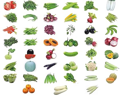 SapRetailer Combo Pack of 45 Vegetable Seeds for Terrance and Kitchen Gardening