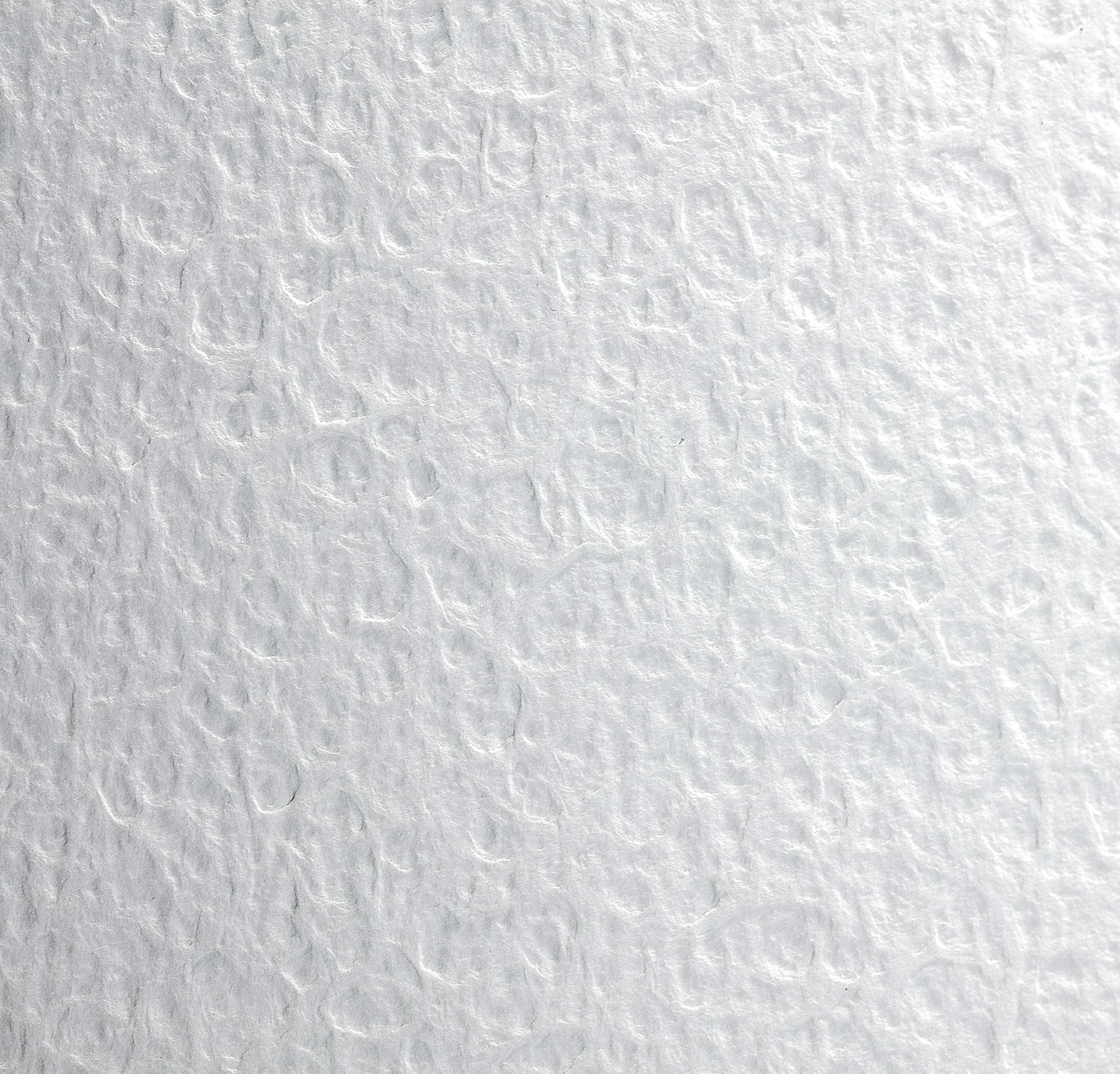 Clairefontaine - Ref 975058C - Flamboyant Watercolour Sheets (10 Sheets) - 50 x 65cm Size, Rough Grain, 300gsm Paper - Suitable for Watercolour Artwork