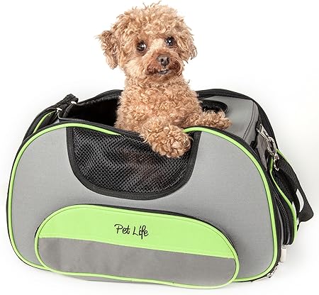modern pet carrier