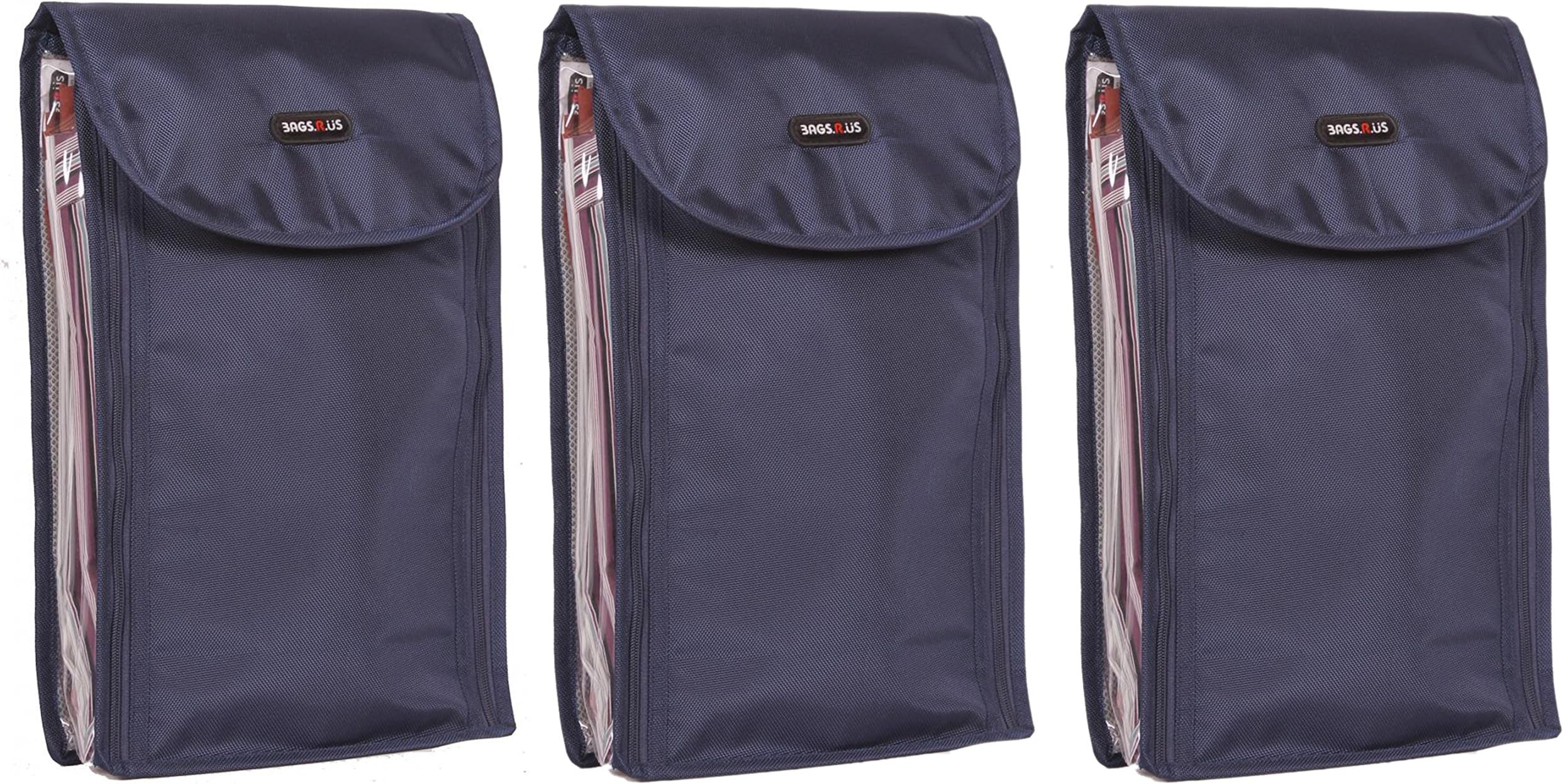 BagsRUs Multi-Colour Bag Organizer (SR101FNBX3)
