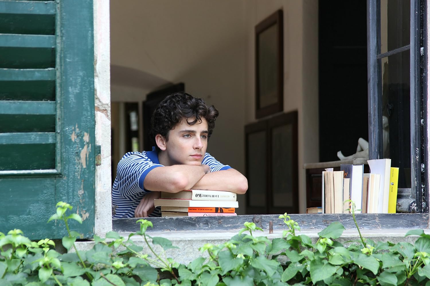 Call Me By Your Name Movie Dvd 17 Movies Tv Amazon Com