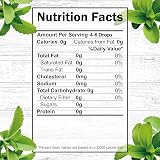NKD Living Pure Stevia Liquid Drops 100ml Natural Sweetener 0 Calories view 2