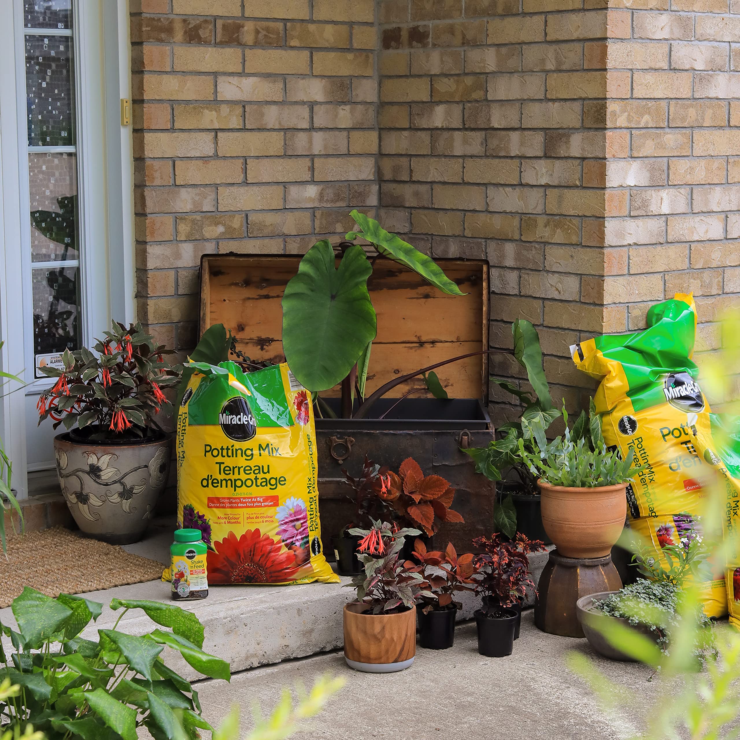 Miracle-Gro Potting Mix