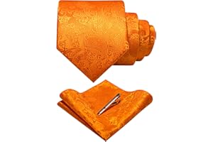 JEMYGINS Mens Solid Color Paisley Necktie and Pocket Square with Tie Clip Sets