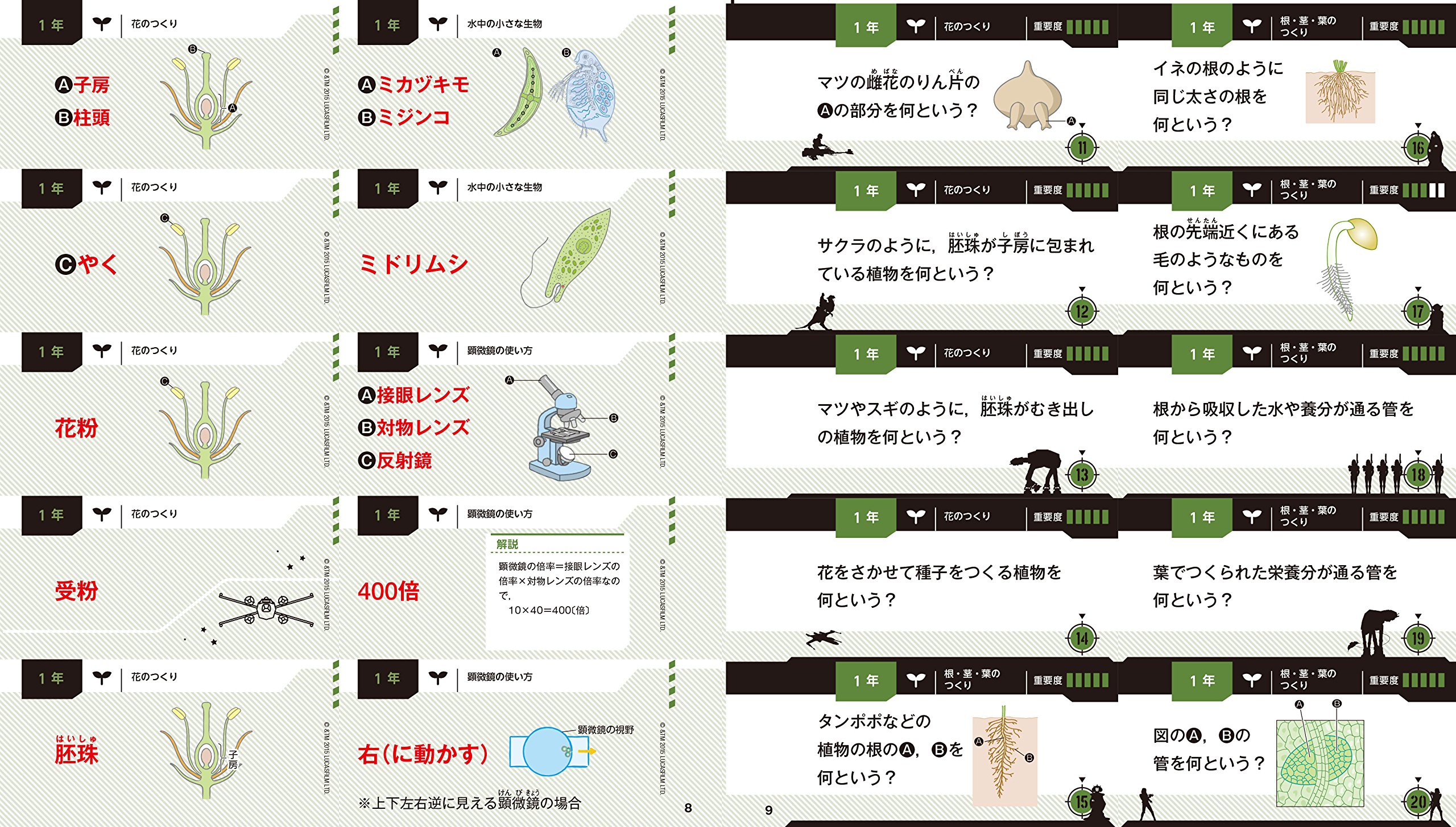 中学理科 スターウォーズ暗記カード 学研教育出版 本 通販 Amazon