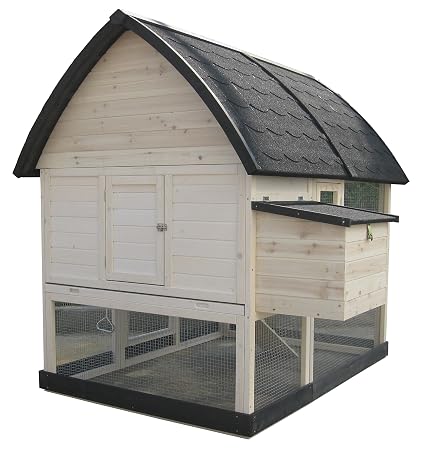Amazoncom Coops Feathers 235 91 Country Coop X Large Pet