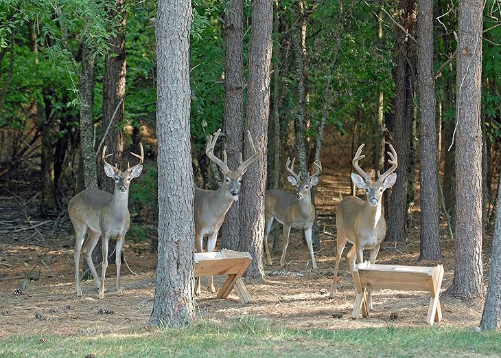 Best Deer Feeders 2023 Reviews & Buyer’s Guide (Mar. 2023)