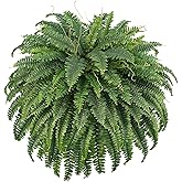 FOREST PRINCE 50" Artificial Boston Ferns, Fake Bush Plants, Large Faux Ferns with 96 Fronds for Outdoors Home Decor