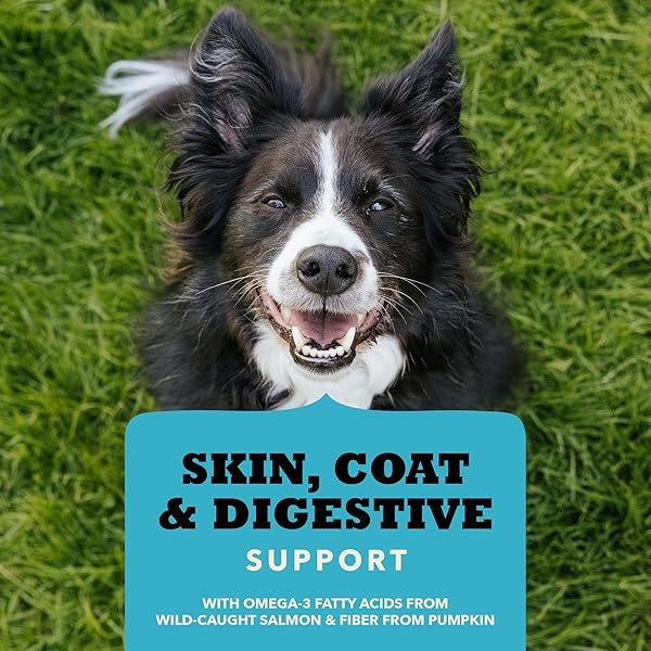 ACANA CHEWY STRIPS LIMITED INGREDIENT DOG TREATS SALMON RECIPE WITH SKIN, COAT, & DIGESTIVE SUPPORT 4OZ BAG