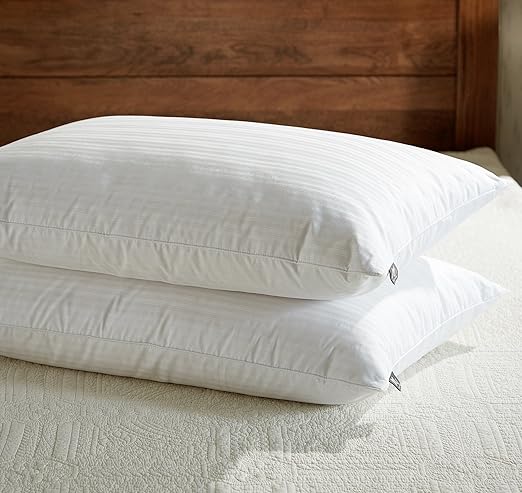 Amazon Com Downluxe Goose Feather Down Pillow Set Of 2 Bed