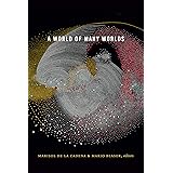 A World of Many Worlds