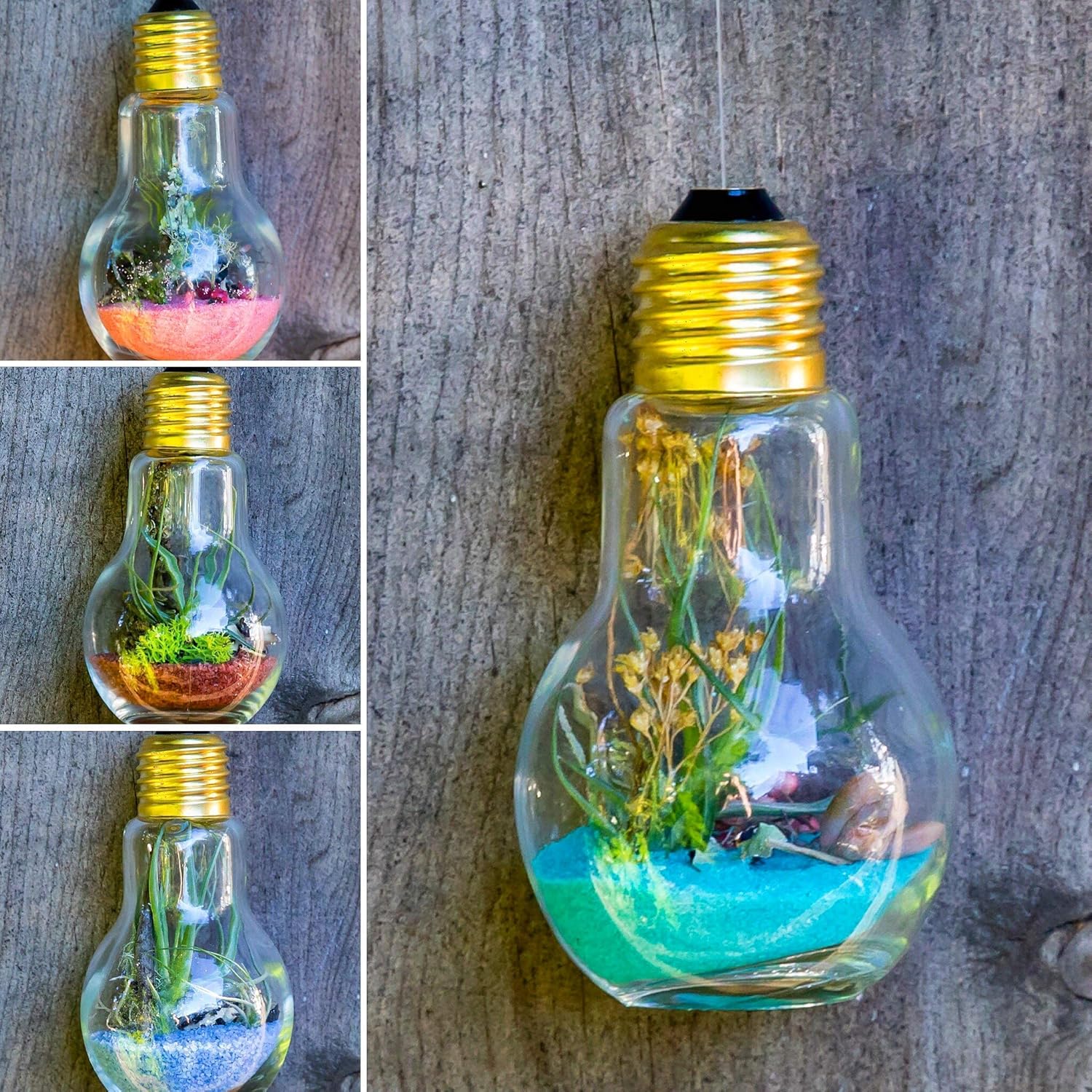 Glass Light bulb Air Plant Terrarium Handmade