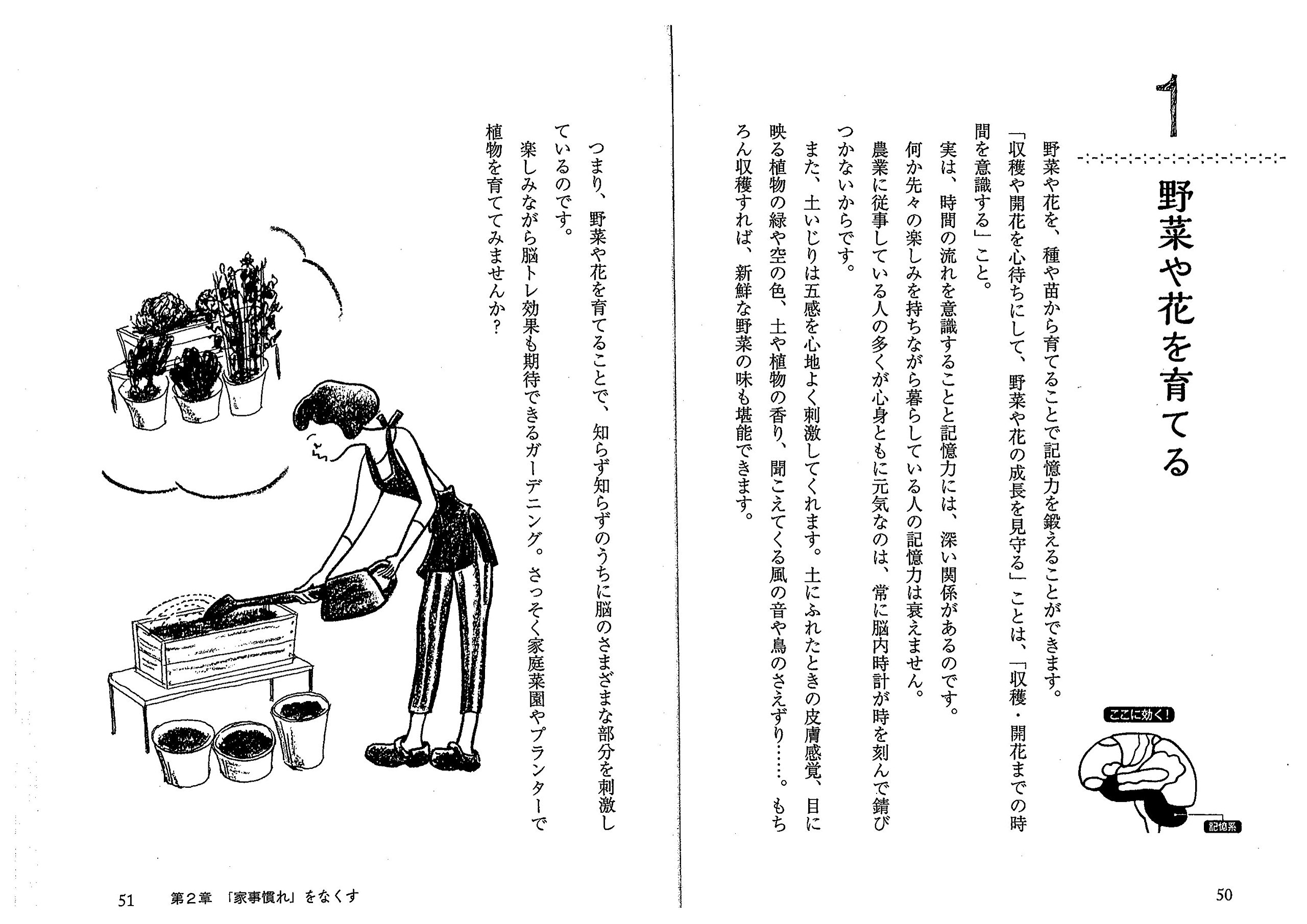 家事で脳トレ65 何歳になっても脳が成長する家事のhow To 加藤 俊徳 本 通販 Amazon