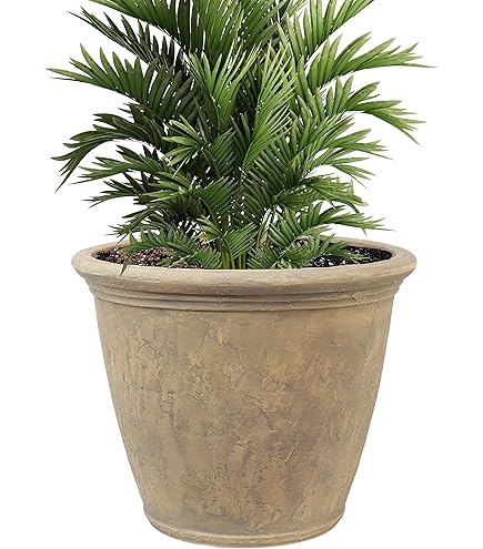 desert plants for terrarium Desert Flora main image 0