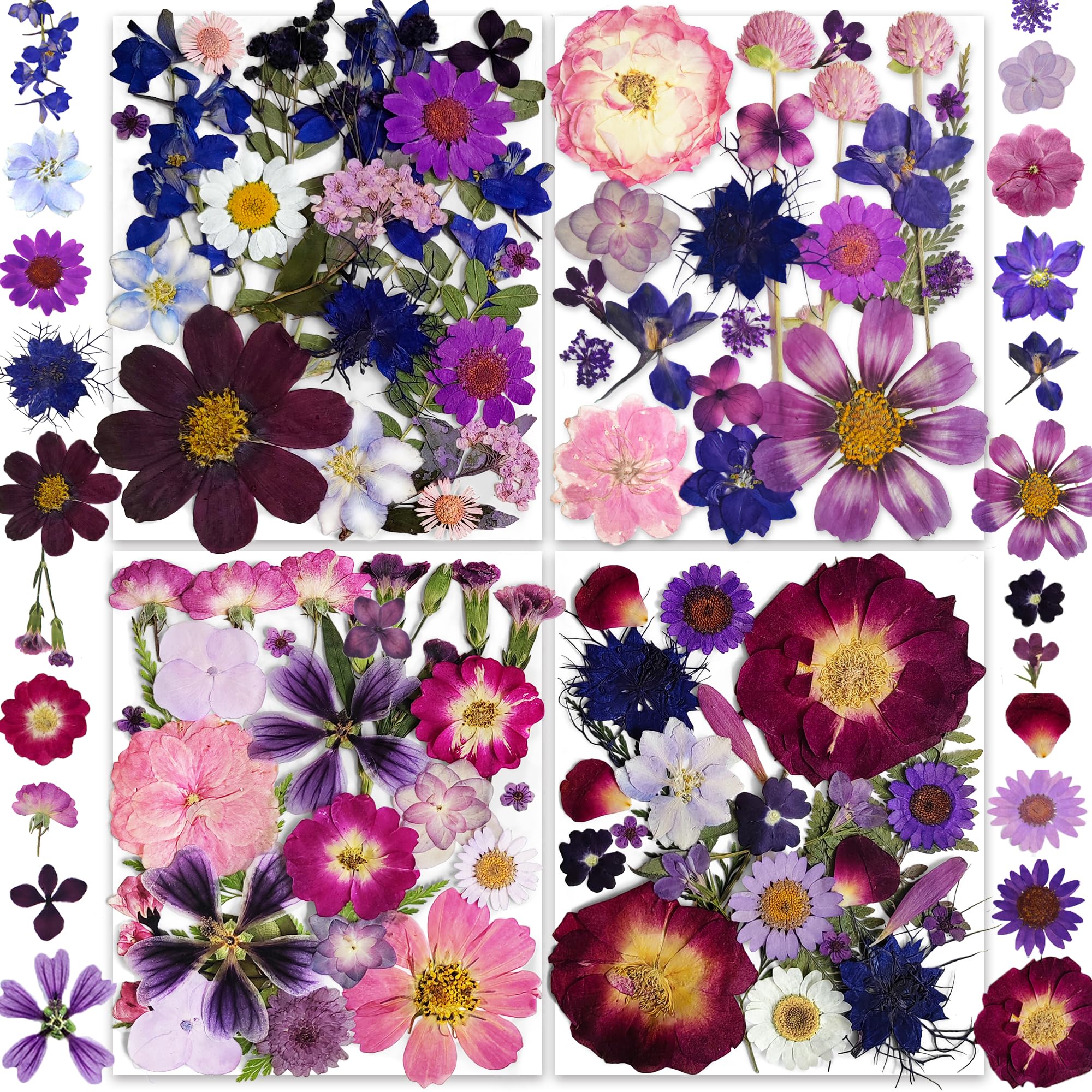 YouthBro 37 Types 143PCS Purple Dried Pressed Flowers with Butterfly Stickers Real Nature Flowers Set for Resin DIY Jewelry Candle Soap Vase Making Nail Card Scrapbook Art Craft Floral Decors