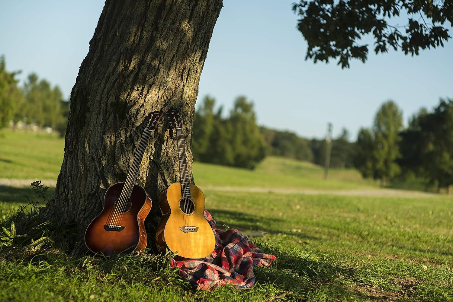 Yamaha CSF1M Western Guitar, Compact, Practical and Elegant Acoustic Guitar with a Rich Sound, Whether You’re on the Move or in the Studio, Includes Padded Hard Bag, in Tobacco Brown Colour, ¾ size - Image 5