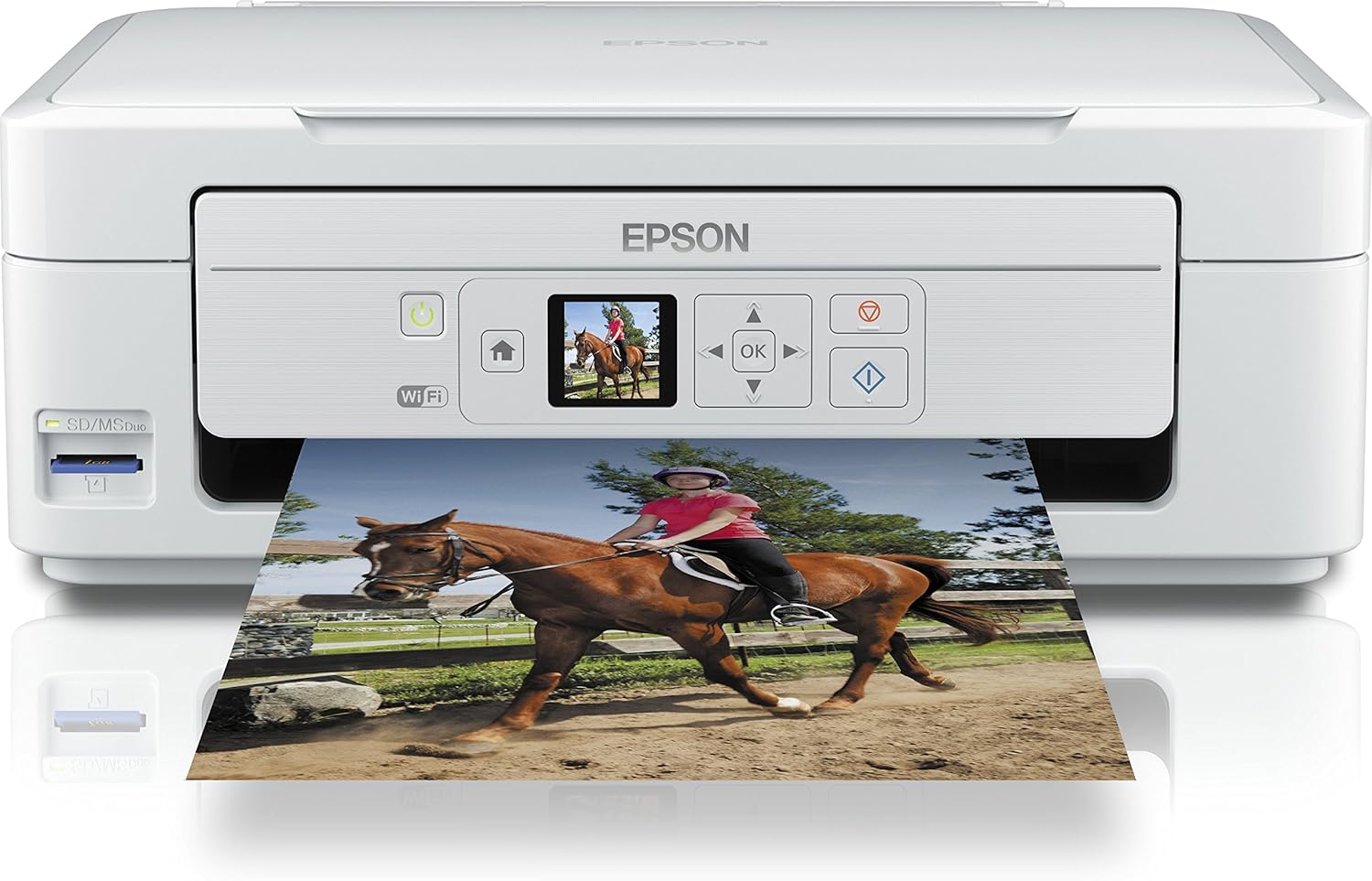epson 315 printer price