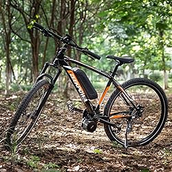 Bafang BBS01B Central Motor with Battery 500W 48V