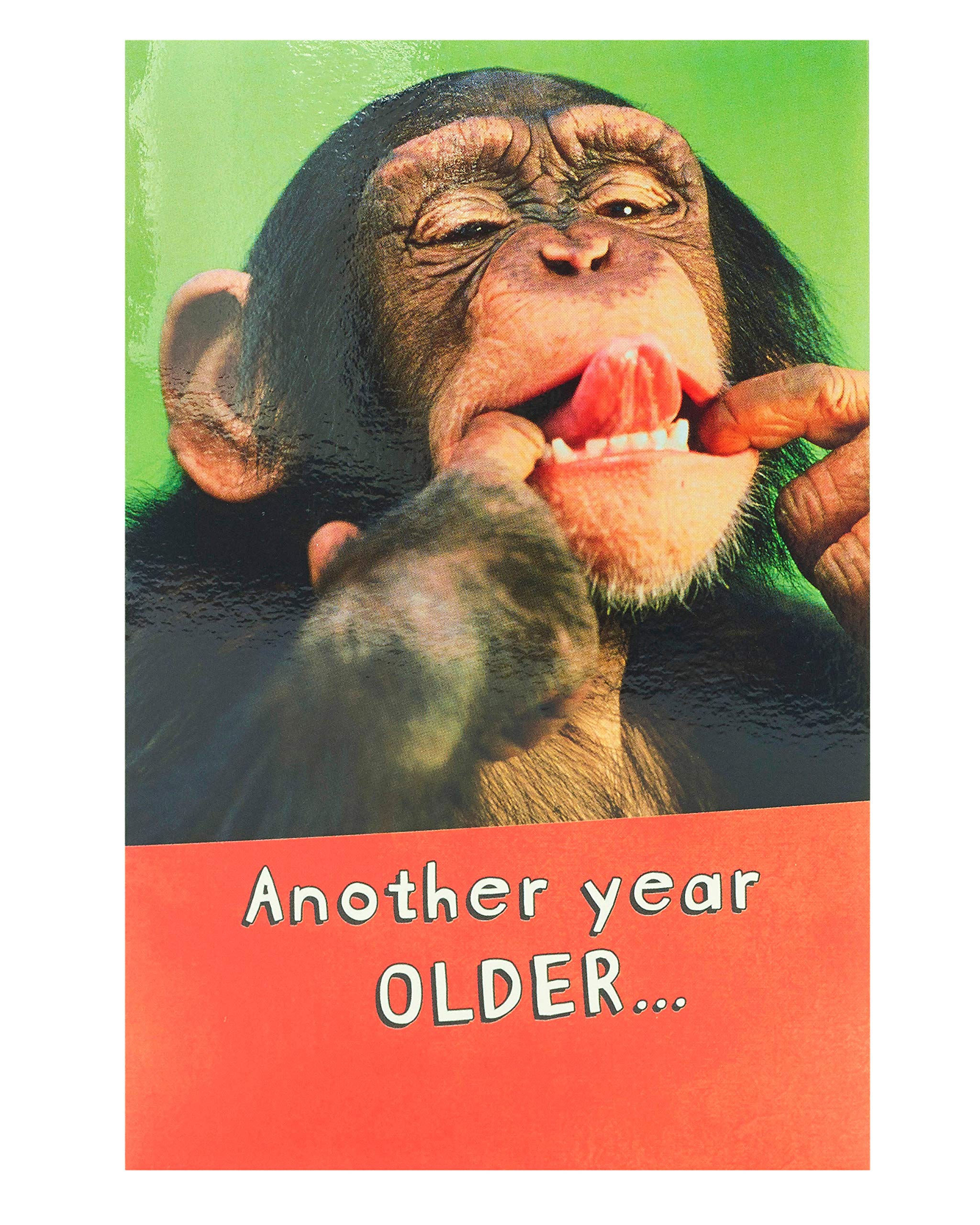 UK Greetings Birthday Card for Him/Her/Friend - Monkey Design